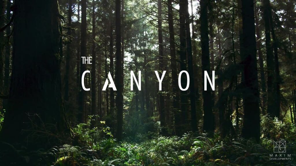 The Canyon price