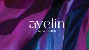 مشروع تايمز القاهرة الجديدة Avelin