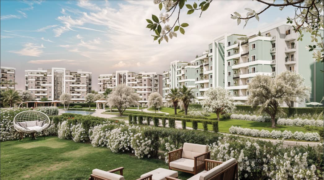 روك وايت مصر الجديدة
