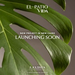 اسعار مشروع الباتيو فيدا