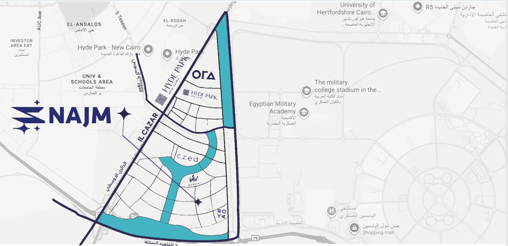 نجم القاهرة الجديدة
