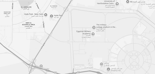 نجم القاهرة الجديدة