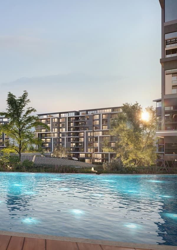 نجم القاهرة الجديدة