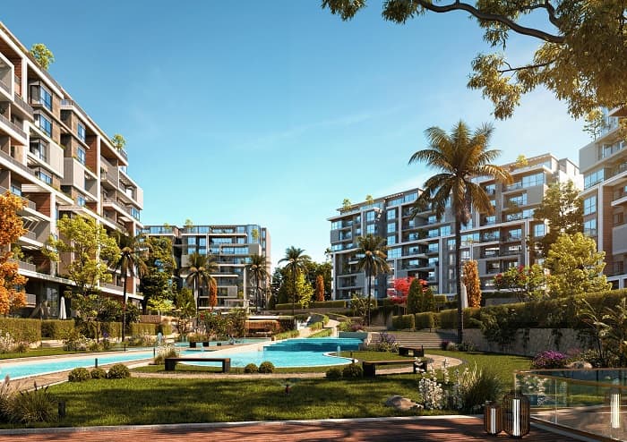 نجم القاهرة الجديدة