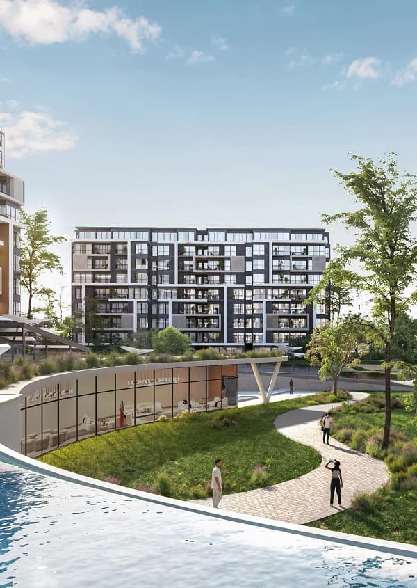 نجم القاهرة الجديدة